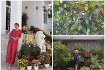 Ngắm biệt thự sân vườn ngập cây trái của Tăng Thanh Hà 