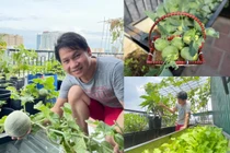 Không gian xanh mát trong nhà phố rộng hơn 120m2 của ca sĩ Trọng Tấn