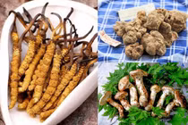 3 loại nấm đắt đỏ nhà giàu chi “núi tiền” thưởng thức