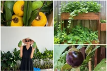 Ngắm khu vườn trong biệt thự của Tăng Thanh Hà