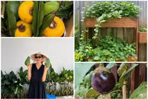 Ngắm khu vườn trong biệt thự của Tăng Thanh Hà