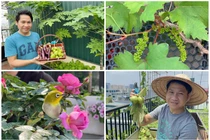 Sân thượng ngập rau trái 4 mùa của ca sĩ Trọng Tấn