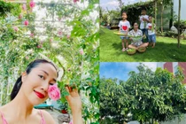 Ngắm khu vườn xanh mướt trong biệt thự của Ốc Thanh Vân 