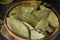 Biết gì loại lá Việt sang Mỹ 2 triệu đồng/kg?