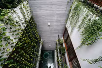 Ngôi nhà ống tích hợp văn phòng xanh mướt ở Nha Trang 