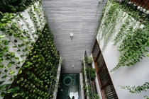 Ngôi nhà ống tích hợp văn phòng xanh mướt ở Nha Trang 