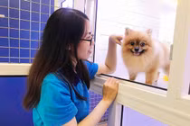 Những công việc làm xuyên Tết nhưng “hốt bạc”