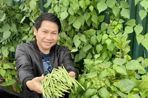 Mê tít nhà phố ngập rau củ của “ông hoàng nhạc đỏ” Trọng Tấn