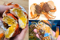 Tiết lộ bất ngờ về loài cua gần 1 triệu đồng/kg vẫn "cháy hàng"