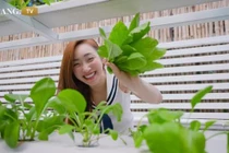 Ngắm khu vườn xanh mướt trong biệt thự của vợ chồng Chi Bảo