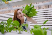 Ngắm khu vườn xanh mướt trong biệt thự của vợ chồng Chi Bảo