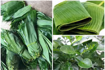 3 loại lá rụng đầy vườn ở Việt Nam, ra nước ngoài “đắt như vàng“