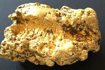 Đào được tảng vàng 2,7 tỷ,người đàn ông mất ngủ suốt 3 ngày