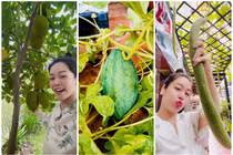 Vườn cây trái sum suê trong biệt thự 20 tỷ của Nhật Kim Anh 