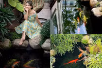 Hồ cá Koi tuyệt đẹp trong biệt thự của Vân Hugo