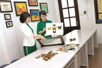 Học làm họa sĩ ở... bảo tàng