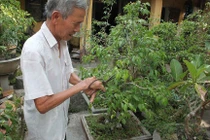 Lạ lùng gia đình 1 ngón ở Hà Nam