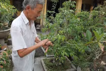 Lạ lùng gia đình 1 ngón ở Hà Nam