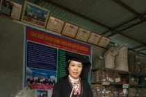 Bài thuốc Nam gia truyền hiệu quả của lương y người Dao