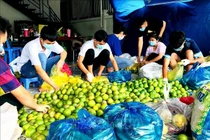Ảnh minh họa Bộ trưởng Lê Minh Hoan: Hai vấn đề cần tư duy lại trong tiêu thụ nông thủy sản ở ĐBSCL