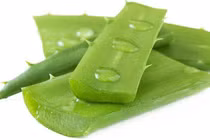 Lô hội chữa táo bón