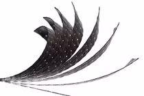 Các hạt từ tính tạo thành vật liệu lập trình thông minh