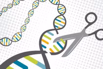 Gen có thể bật và tắt