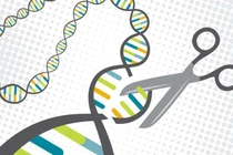 Gen có thể bật và tắt