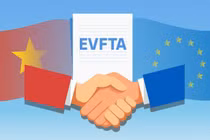 Thủ tướng phê duyệt Kế hoạch thực hiện Hiệp định EVFTA