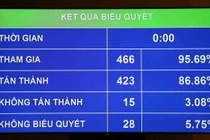 Đại biểu QH: Mục tiêu Luật An ninh mạng nhắm tới là tội phạm mạng, không phải người dân