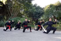 Lão hổ phục địa đao.