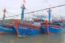 Tỉnh Nghệ An cấm các loại tàu thuyền ra khơi kể từ 0h ngày 10/10.