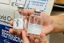 WHO tài trợ khẩn cấp 10 liều thuốc điều trị cho nạn nhân vụ pate Minh Chay