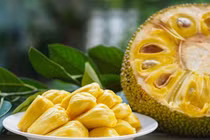 Mít chữa sản phụ thiếu sữa