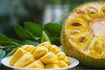 Mít chữa sản phụ thiếu sữa