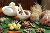 Thuốc Đông y trị ngứa âm đạo