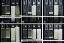 Mỹ phẩm từ rỉ đường và dầu đậu nành lên men