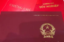 Sử dụng chứng chỉ tiếng Anh không hợp pháp, Phó Bí thư Thường trực Thành ủy Lai Châu bị cách chức