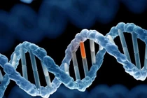 100 người Việt có 3 người mang gene đột biến ung thư