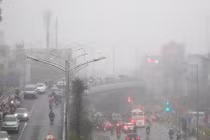 Ngày 2/3, thời tiết Bắc Bộ chủ yếu có sương mù, ngày có mưa nhỏ, đêm và sáng trời rét.