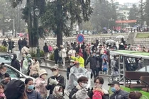 Khoảng 60.000 khách đổ về Sa Pa du xuân