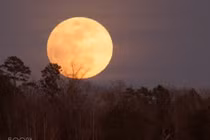 Những hiện tượng thiên văn độc đáo tháng 6