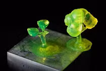 Phương pháp mới chuyển hóa chất thải sinh khối thành nhựa sinh học giá trị cao