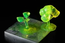 Phương pháp mới chuyển hóa chất thải sinh khối thành nhựa sinh học giá trị cao