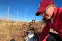 Thuốc kháng sinh và nhiệt độ tăng cao phá vỡ các cộng đồng vi sinh vật trong đất