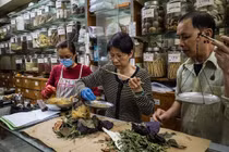 Đông y tham chiến chống virus corona