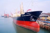 Kinh doanh khởi sắc, Vinalines "không dám" đặt cao mục tiêu lợi nhuận