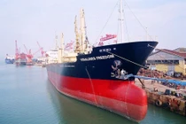 Kinh doanh khởi sắc, Vinalines "không dám" đặt cao mục tiêu lợi nhuận