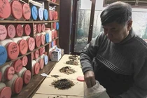 Thực hư tác dụng khi dùng đồng xu cạo gió