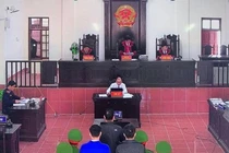 Xét xử gian lận thi cử: Luật sư đề nghị triệu tập Cục trưởng Mai Văn Trinh 